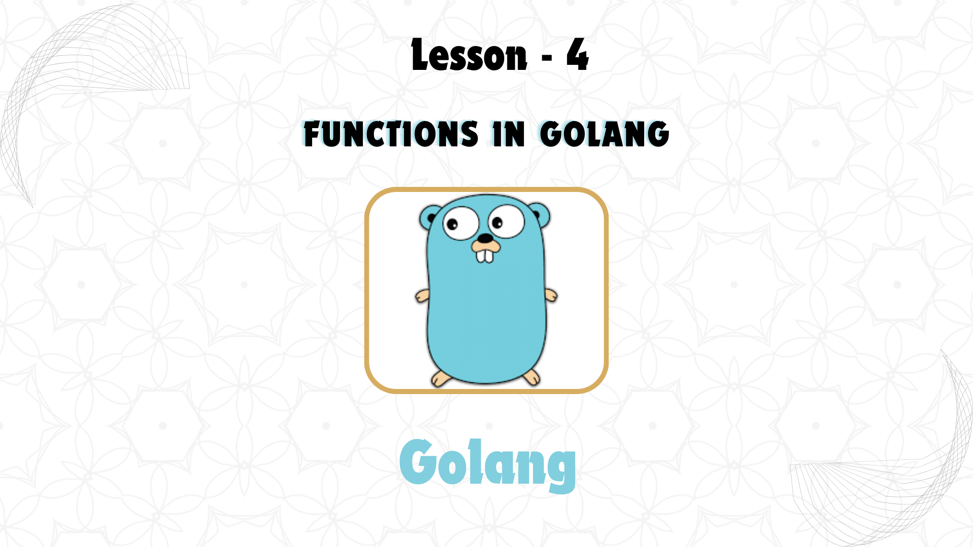 Lesson 4: Functions in GoLang