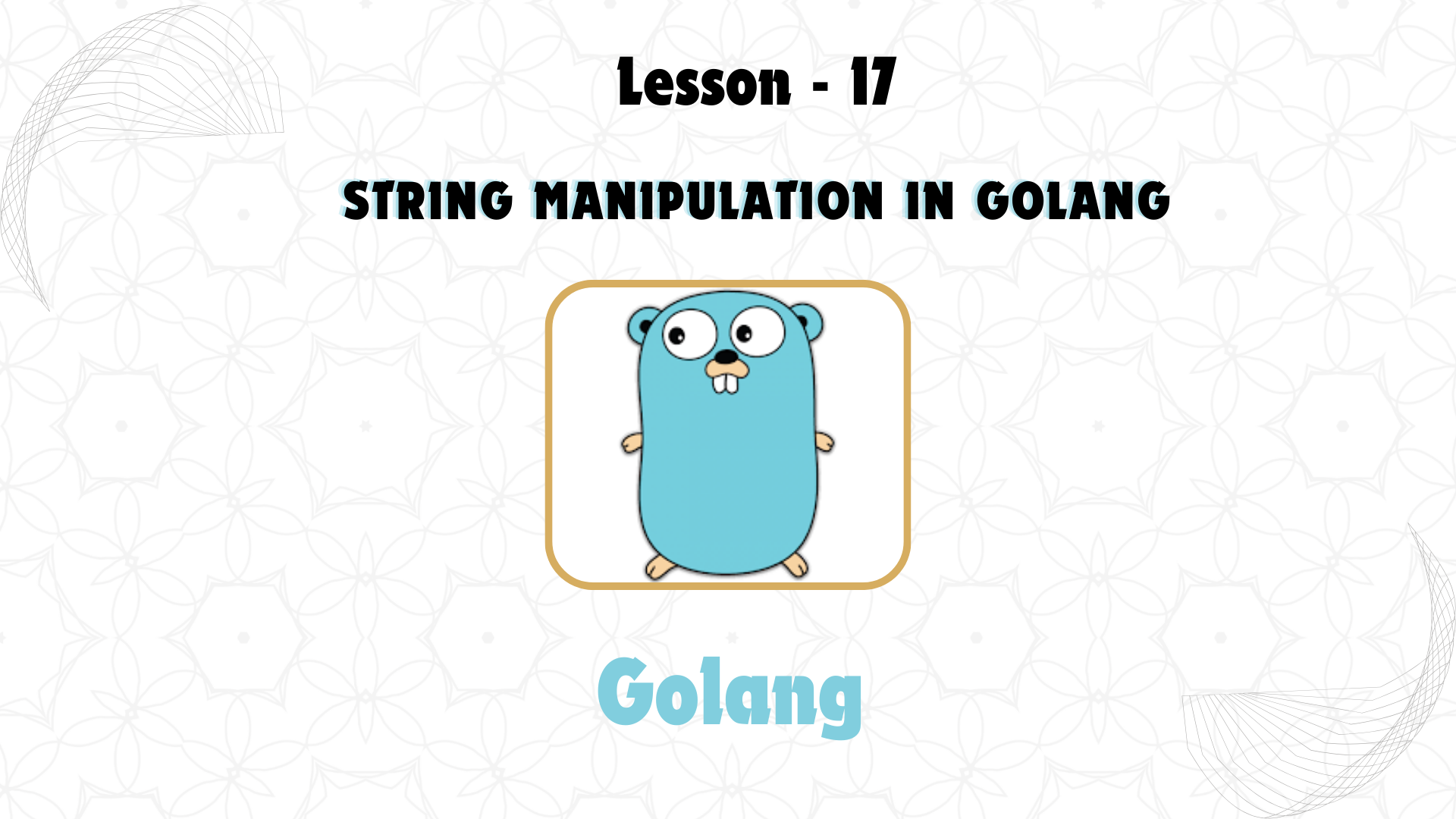 Lesson 17: String Manipulation in GoLang