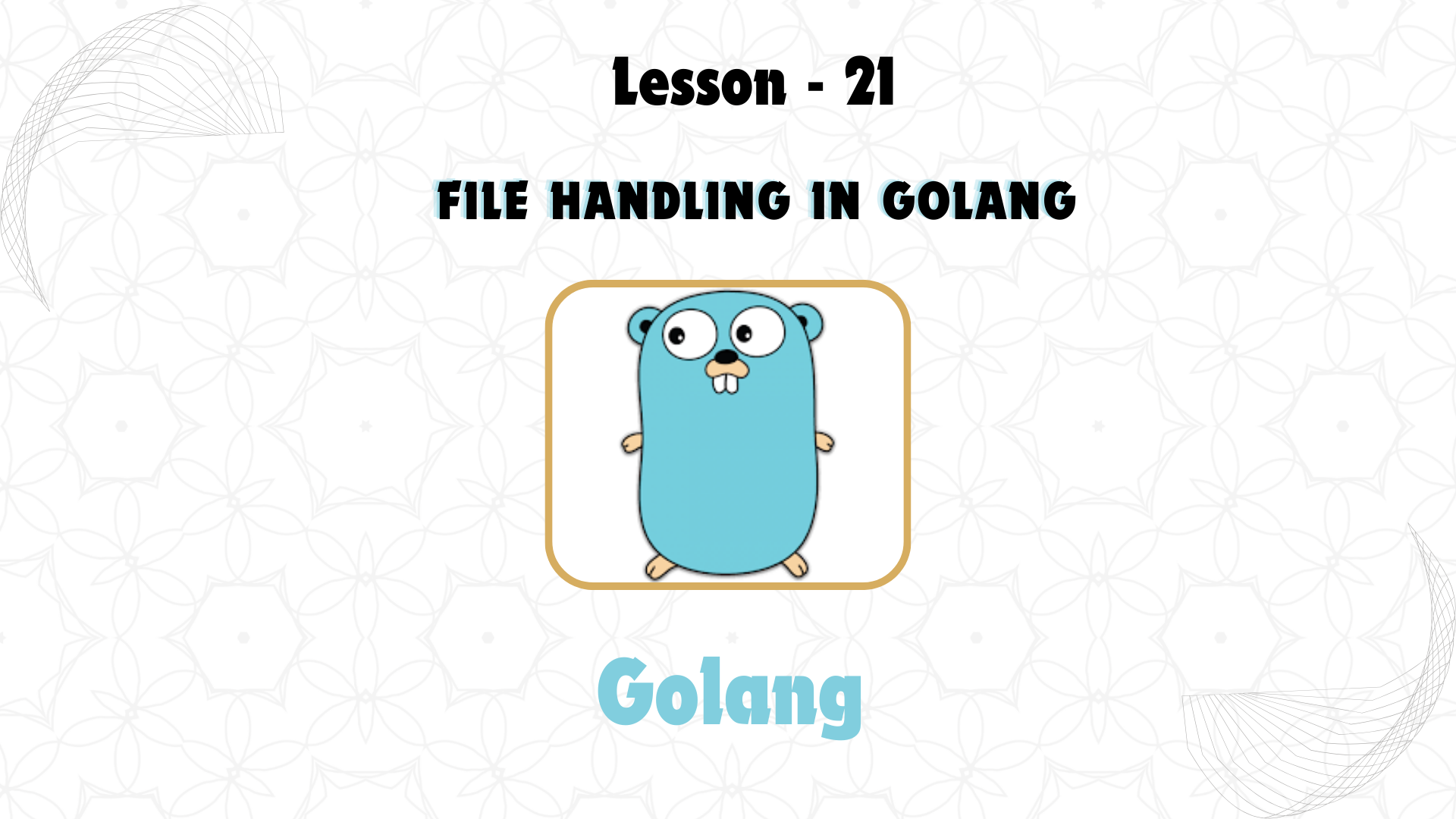 Lesson 21: File Handling in GoLang